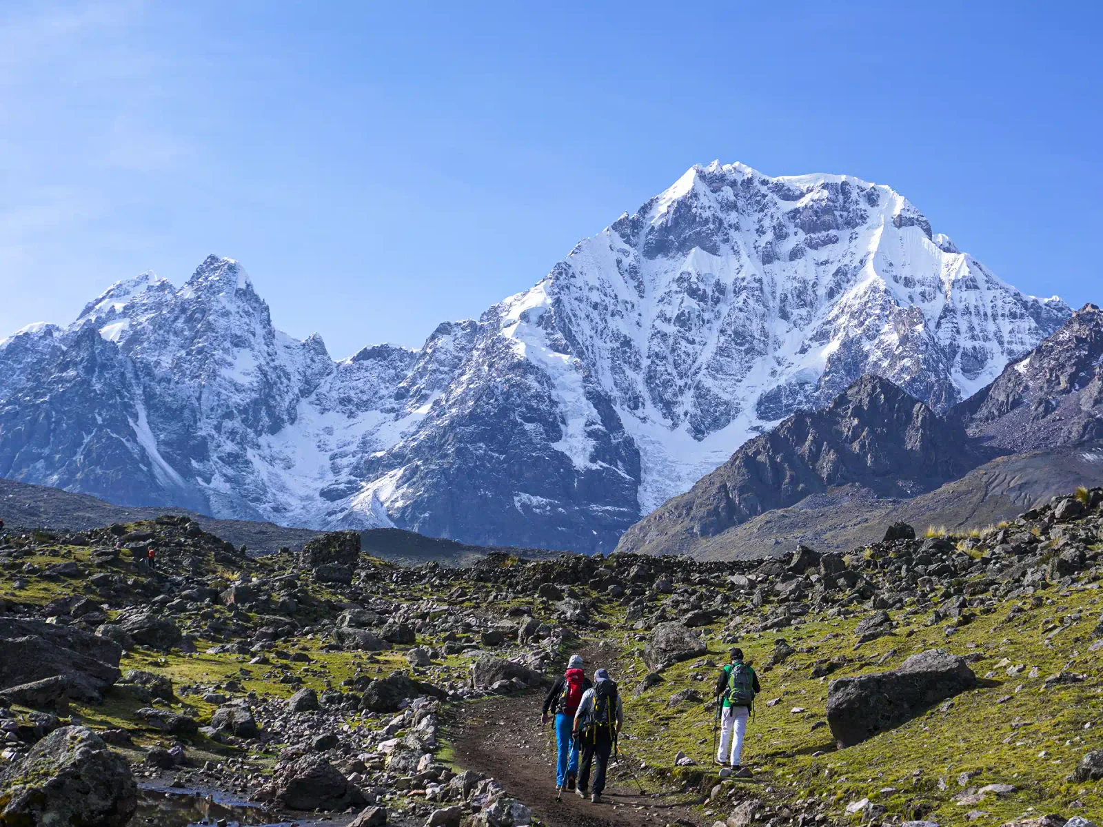 Expedición a la Selva del Manu 5D/4N