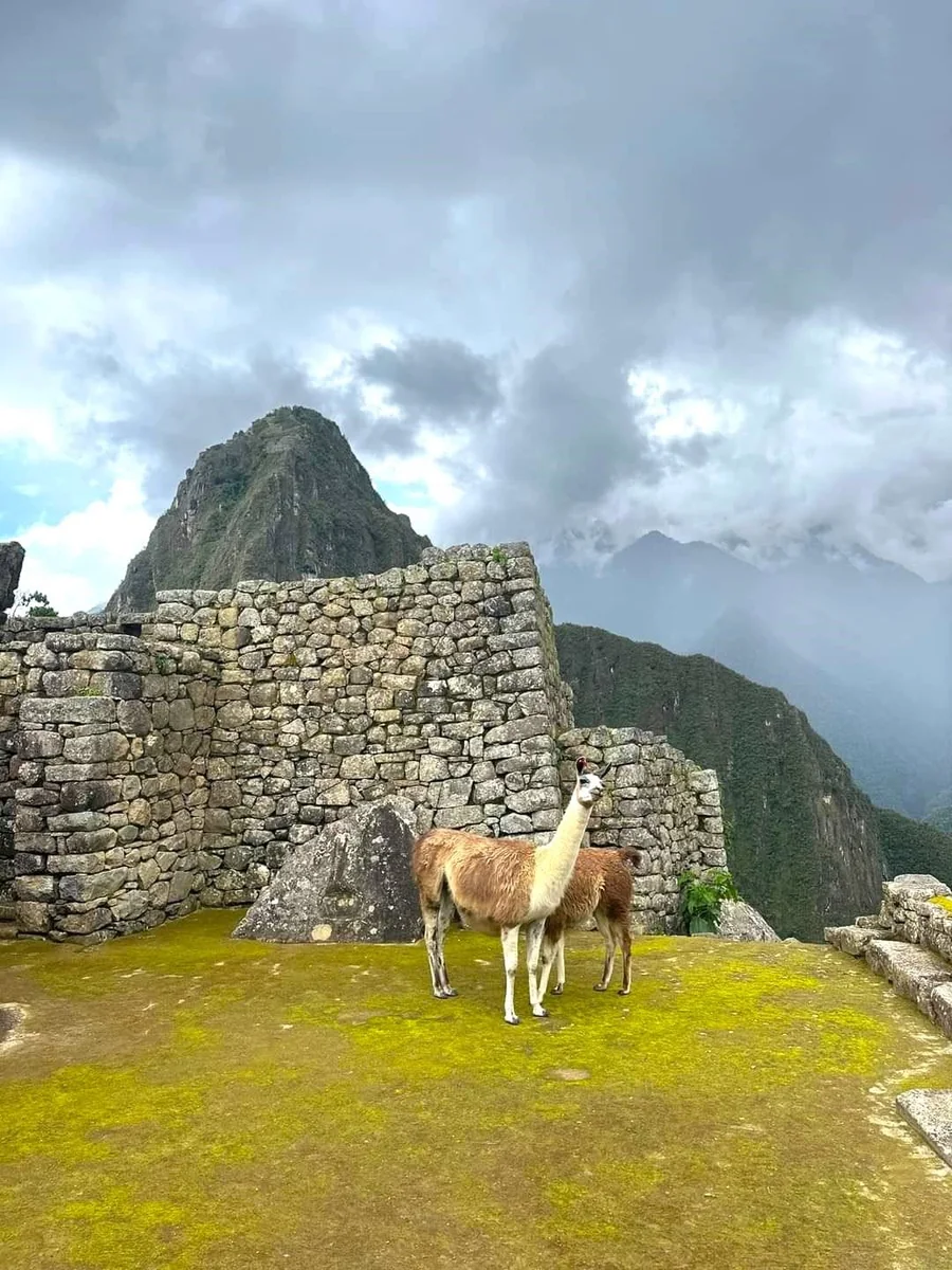 Machu Picchu Mountain vs Huayna Picchu